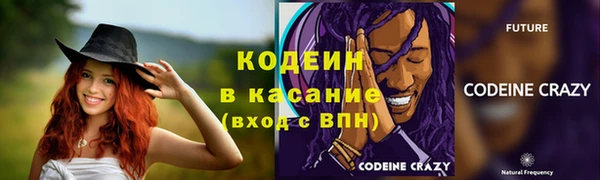 дживик Липки