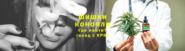 дживик Липки
