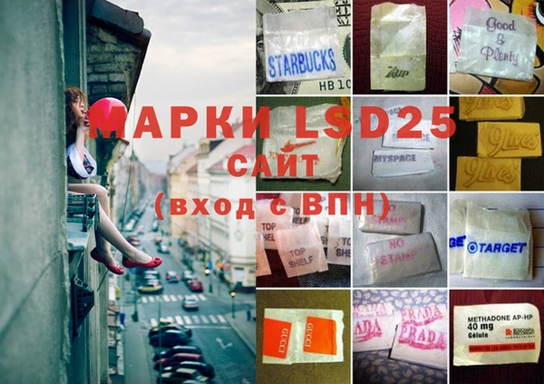 дживик Липки