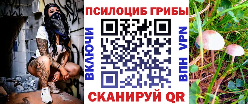 Галлюциногенные грибы Magic Shrooms  Оса 